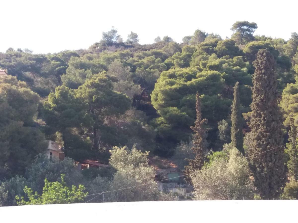 Poros Town Forest & Sea Apartment מראה חיצוני תמונה